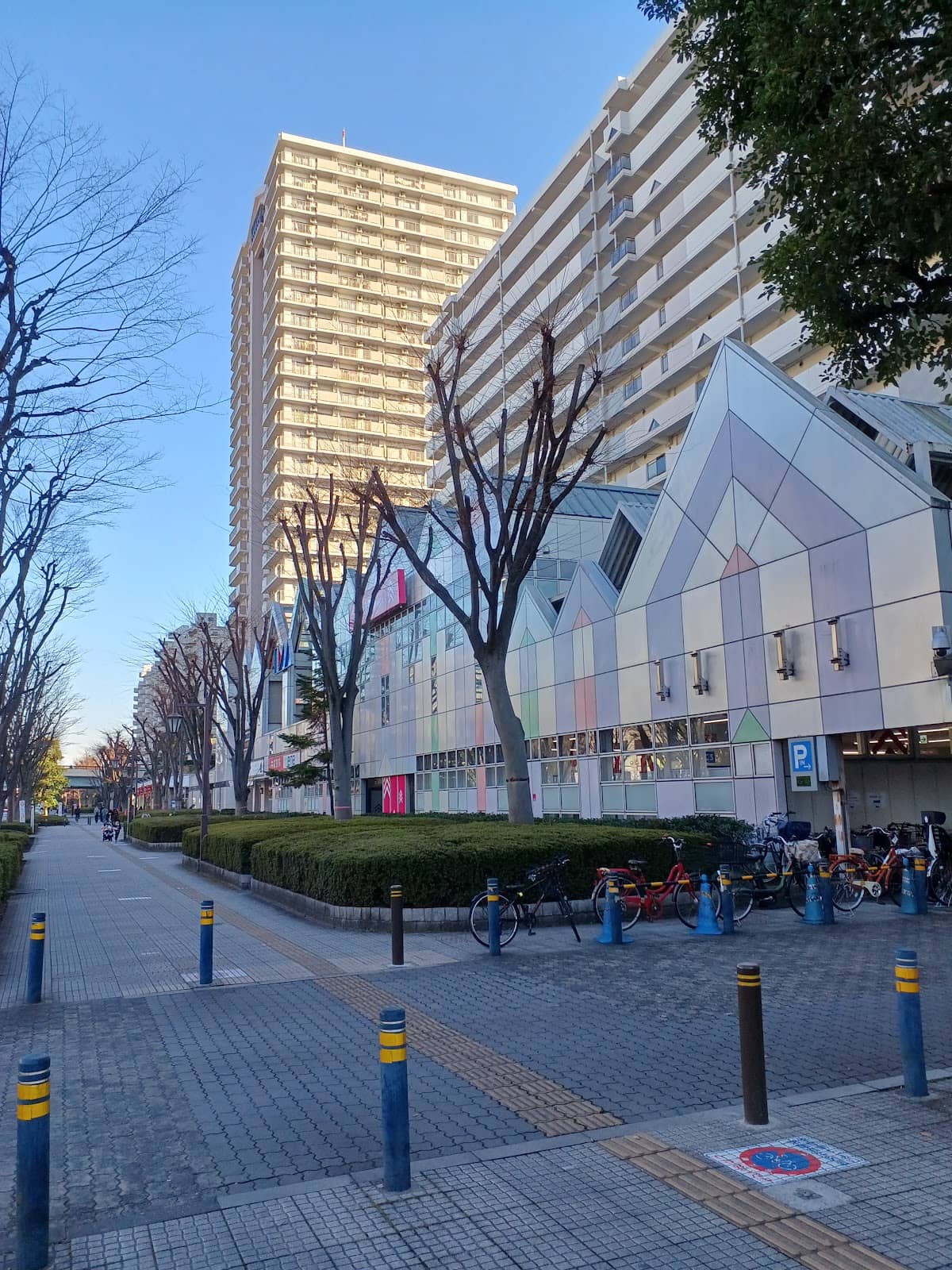 Vertical photo