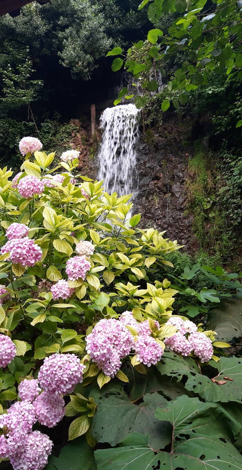 Nature Trails & Hiking