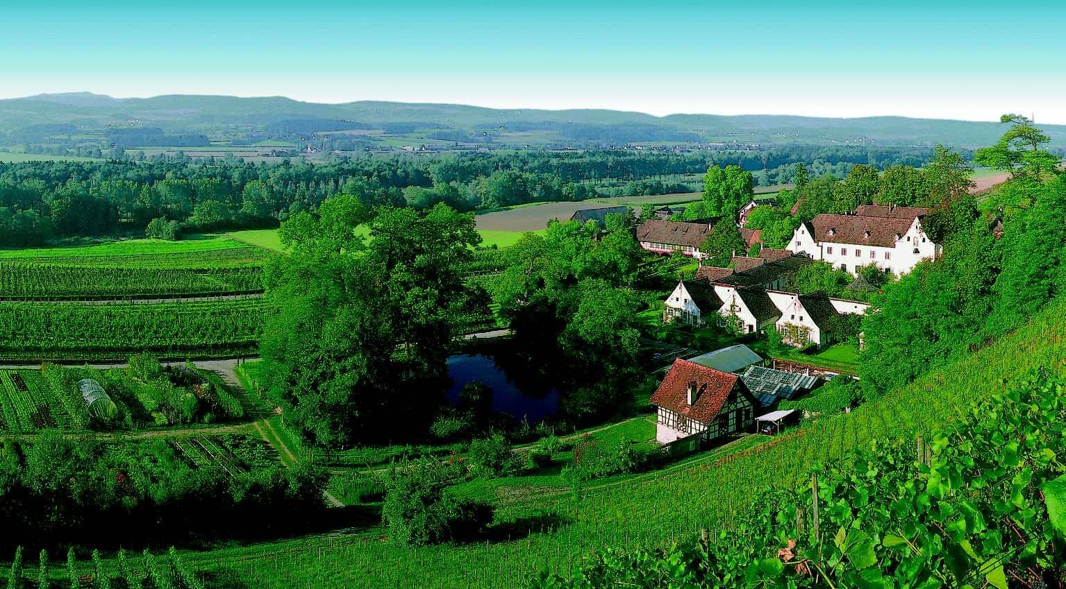 Self-Sufficient Estate