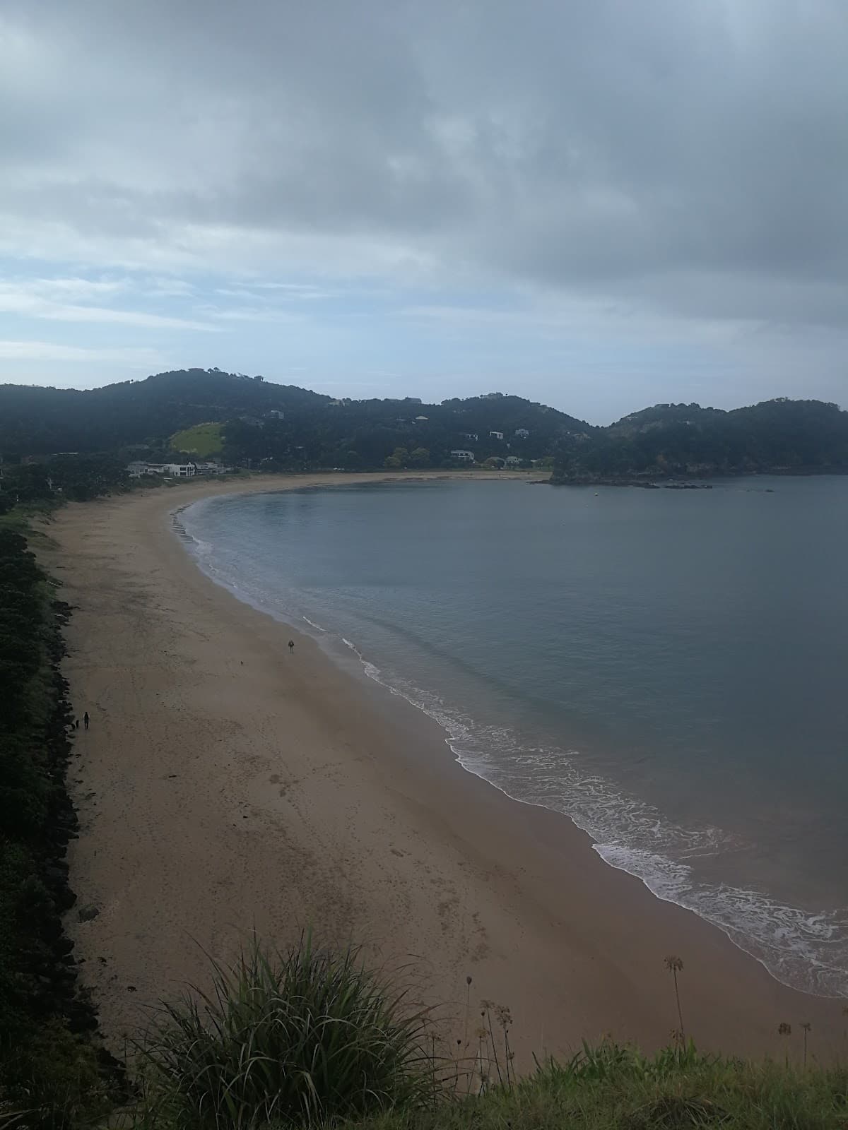 Whangaumu Bay Wellington's Bay - Image 1