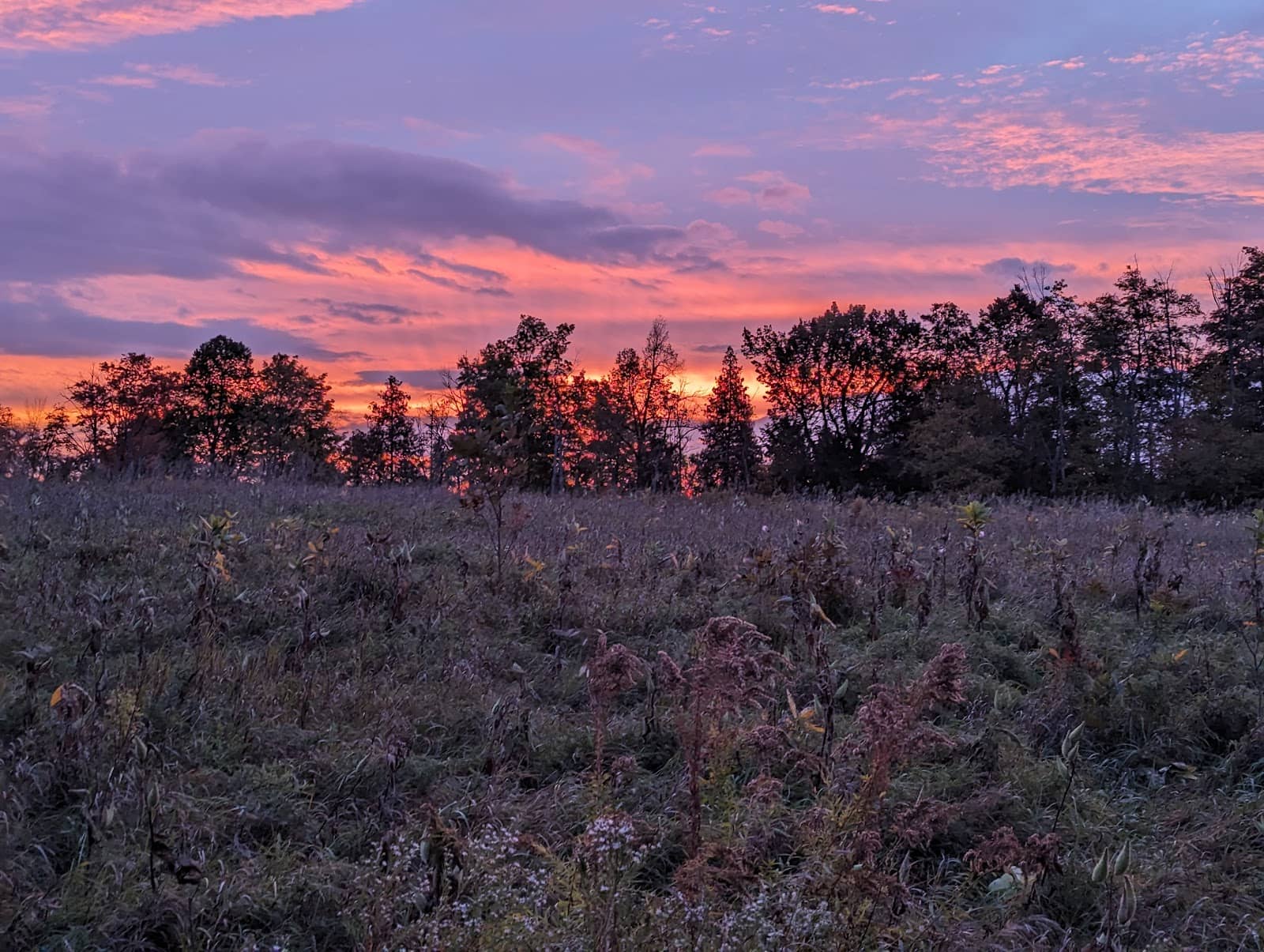 Photography Opportunities