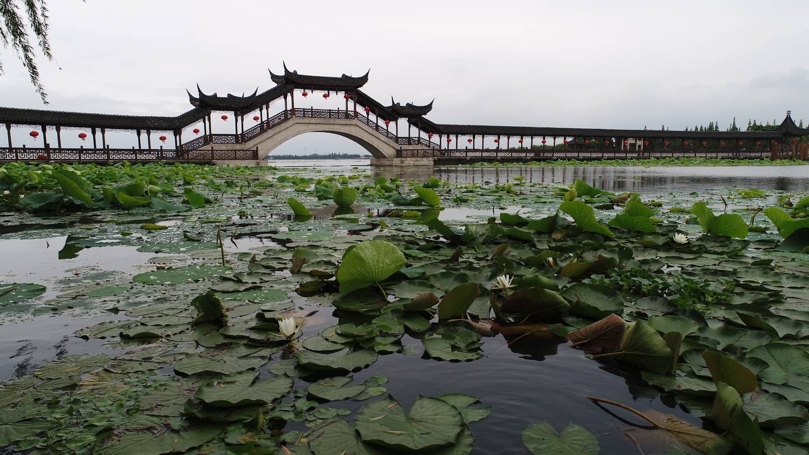 Diverse Tile Collection