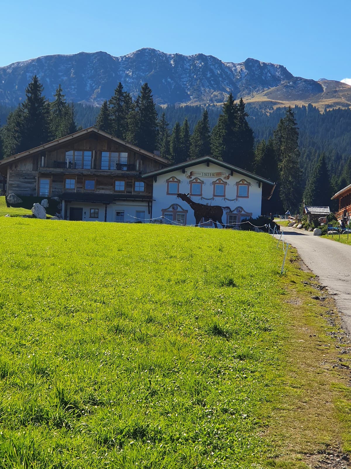 Compatsch (Compaccio) Hub - Image 1