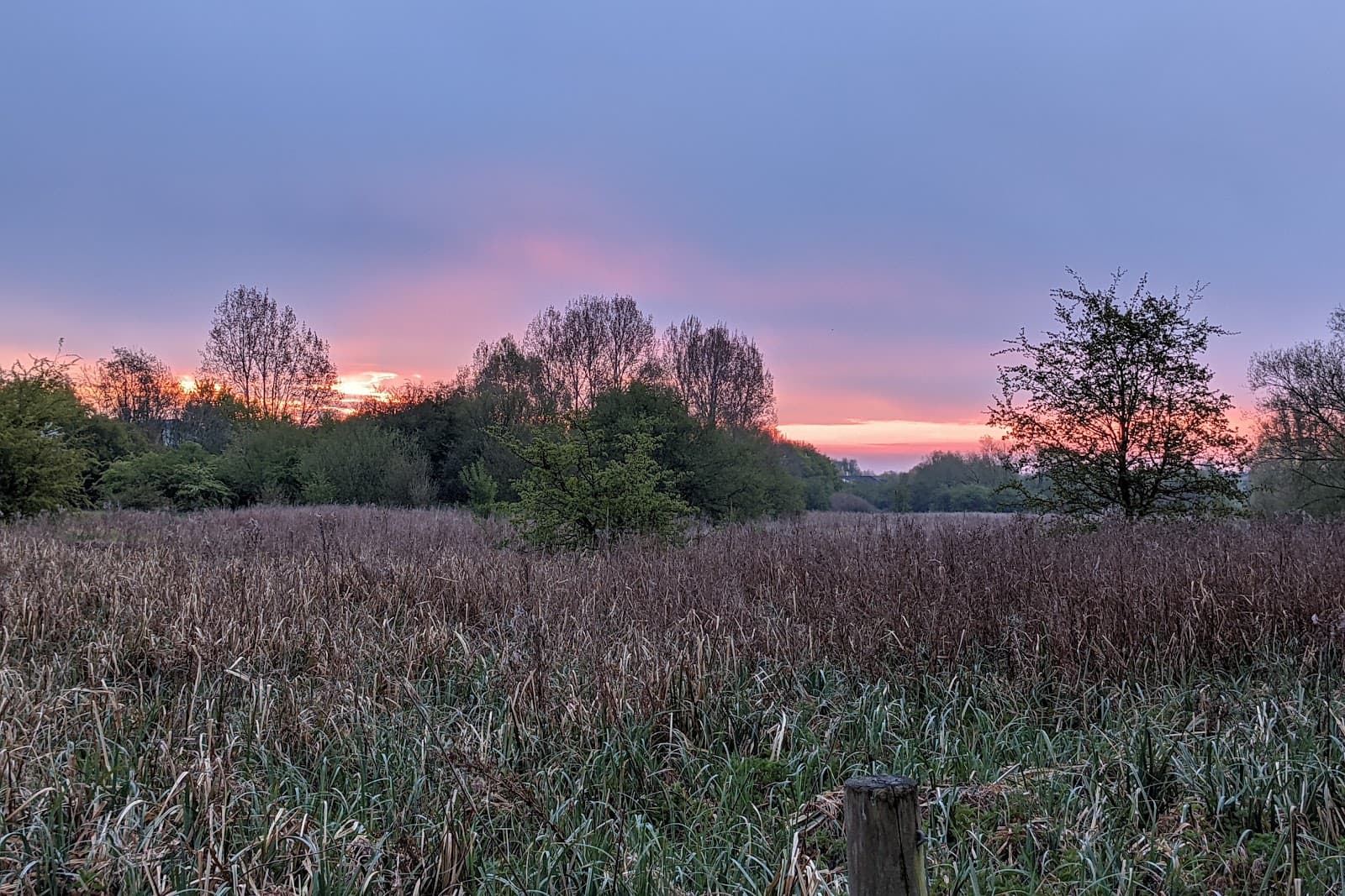 Barton Fields Nature Reserve - Image 1