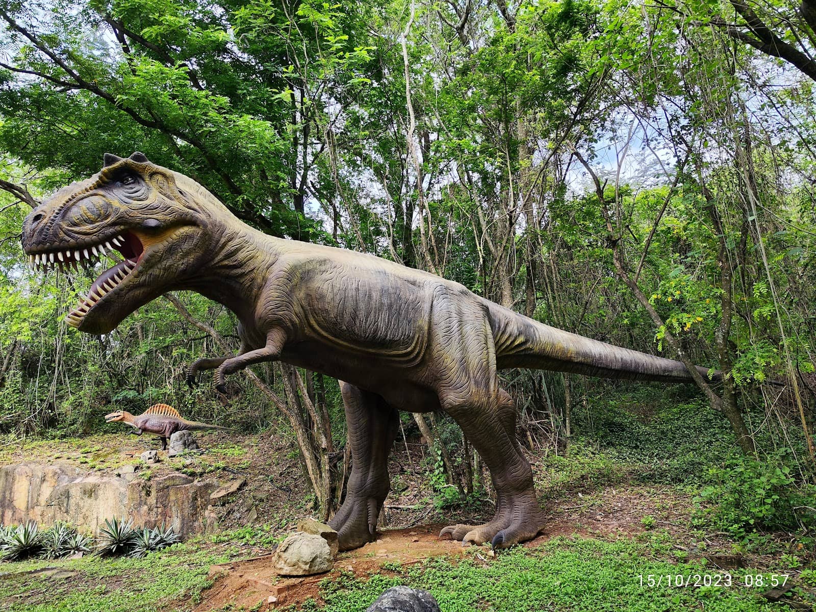 Interactive Educational Displays