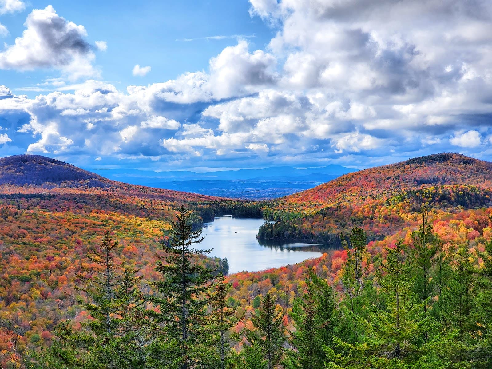 Owlโs Head Lookout (Groton State Forest) - Image 1