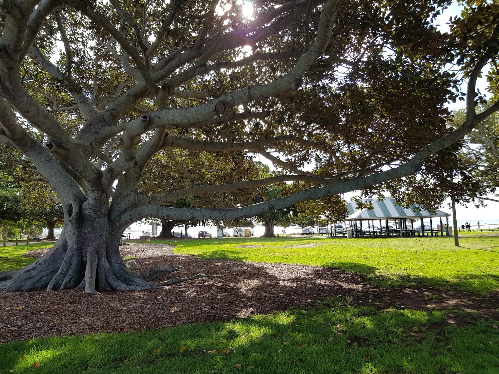 Wellington Point Reserve Brisbane - Image 1