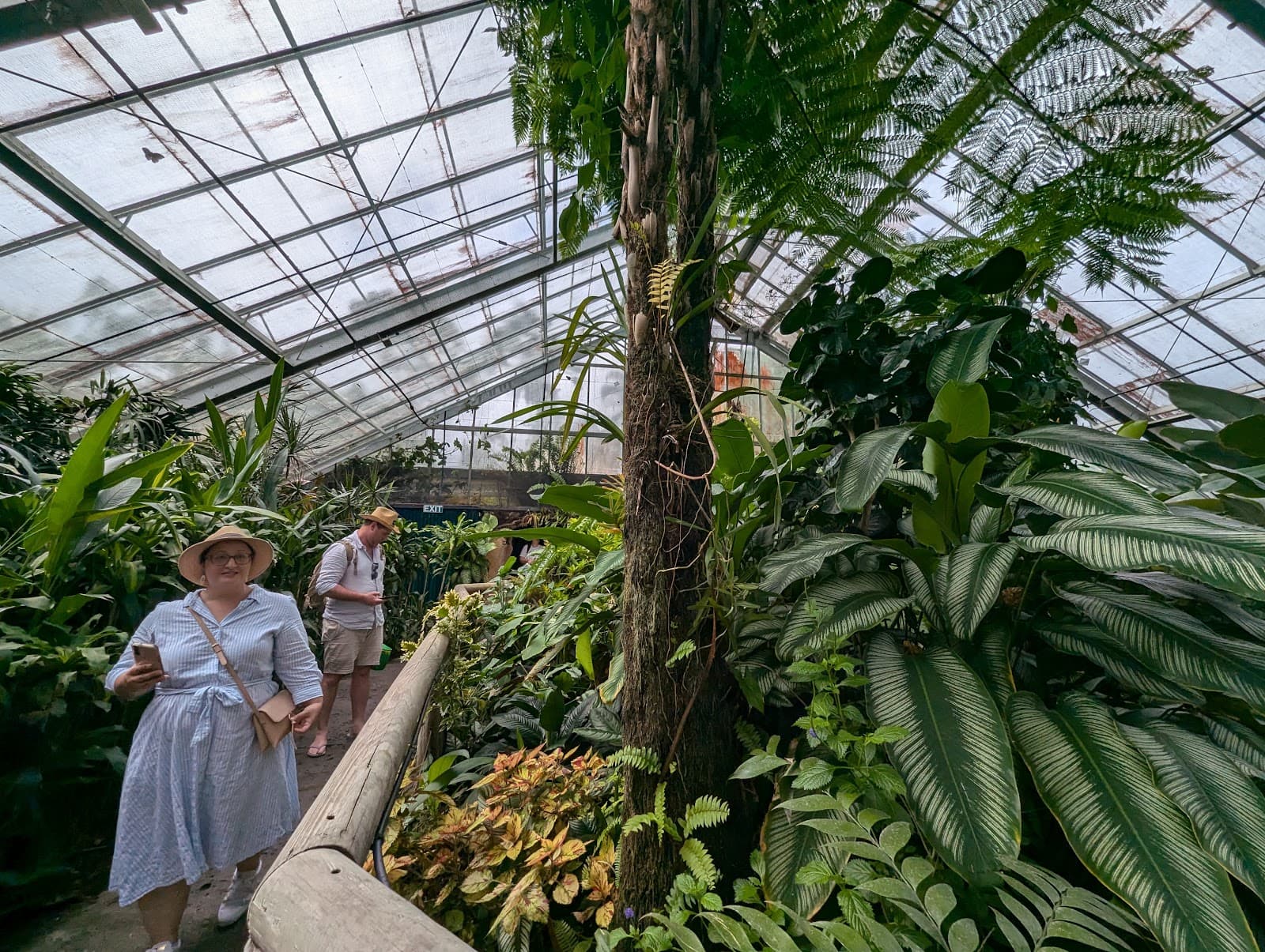 Australian Butterfly Sanctuary Kuranda - Image 1