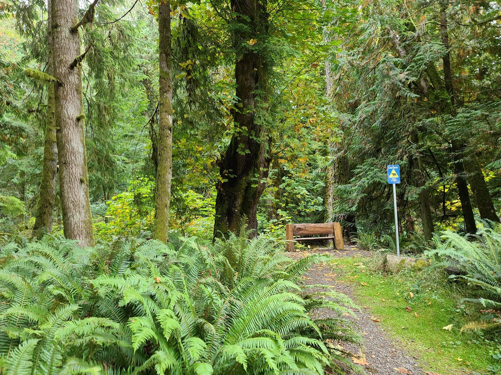 Charters River Salmon Interpretive Centre - Image 1