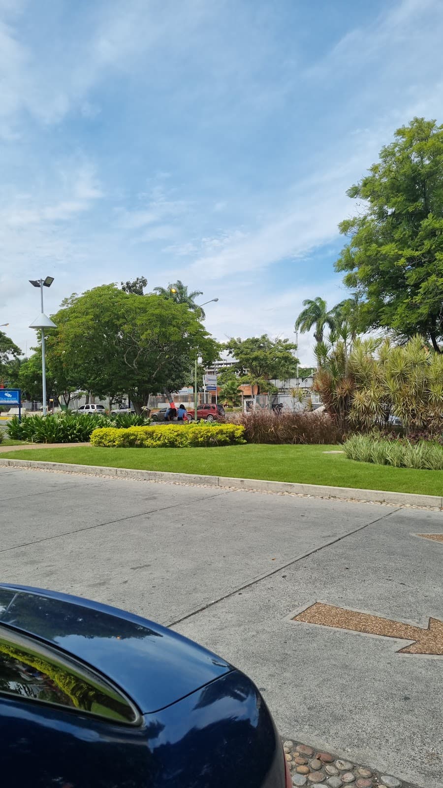 Avenida Lara - Image 1