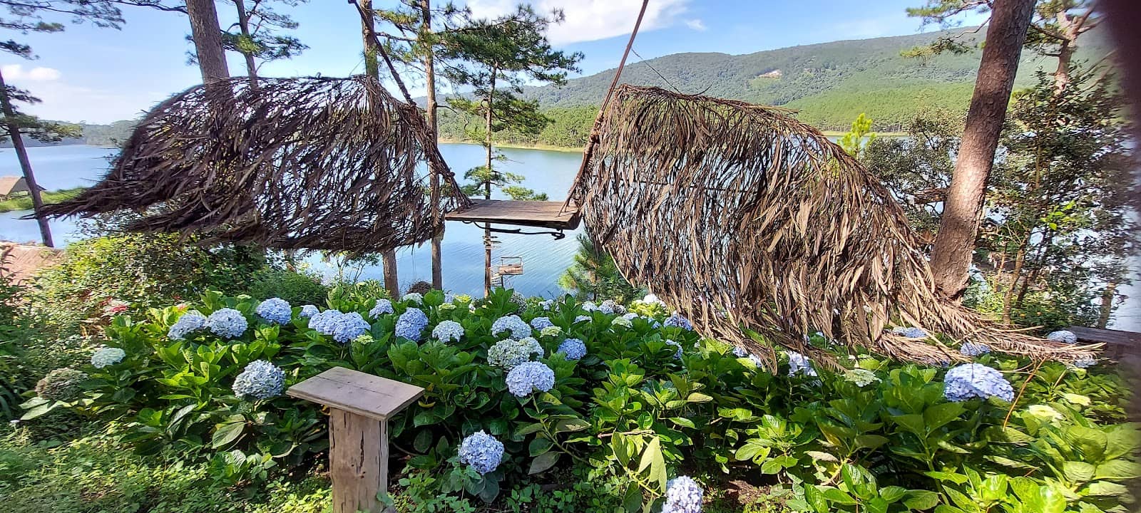 Lush Greenery and Waterfalls