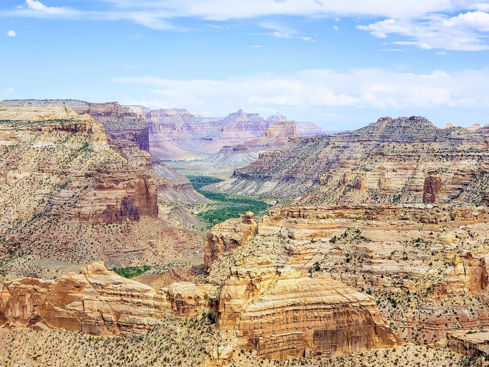 Wedge Overlook (Little Grand Canyon) - Image 1