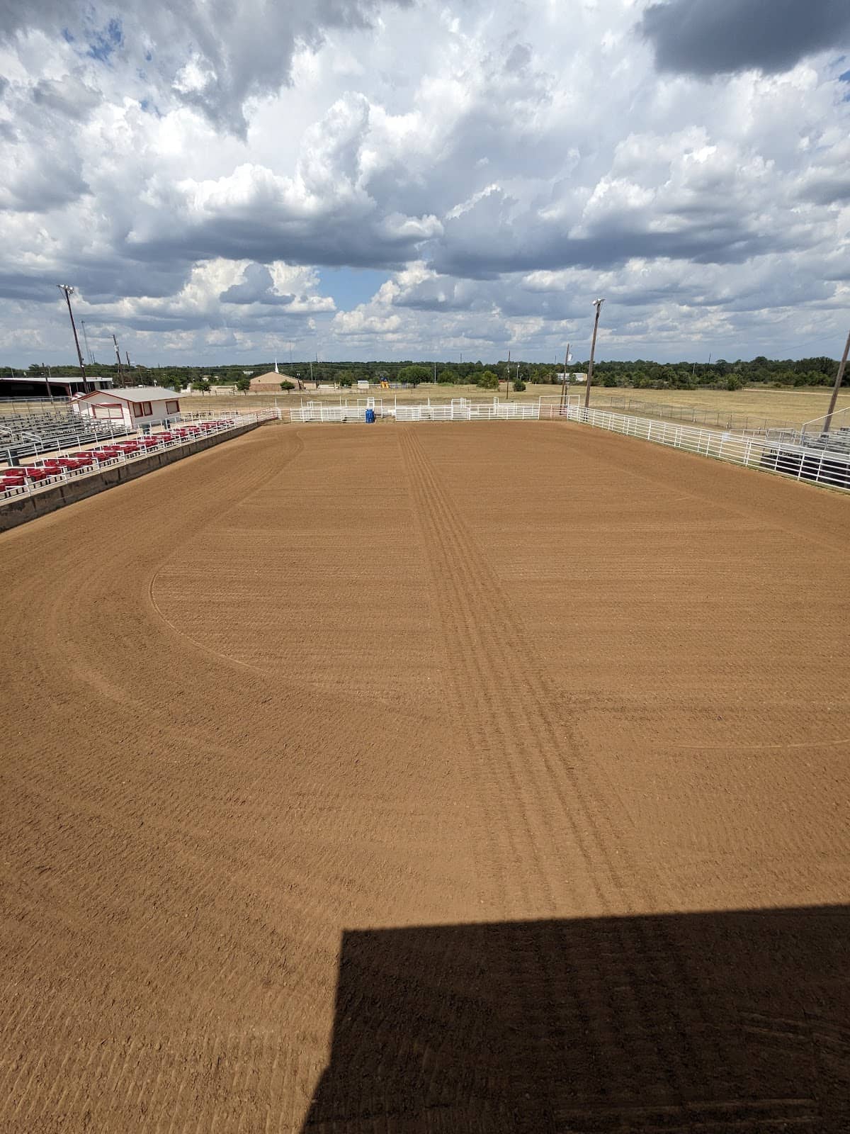 Live Music & Performances