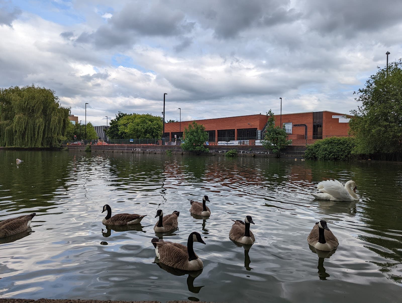 Swanswell Park and Pool - Image 1