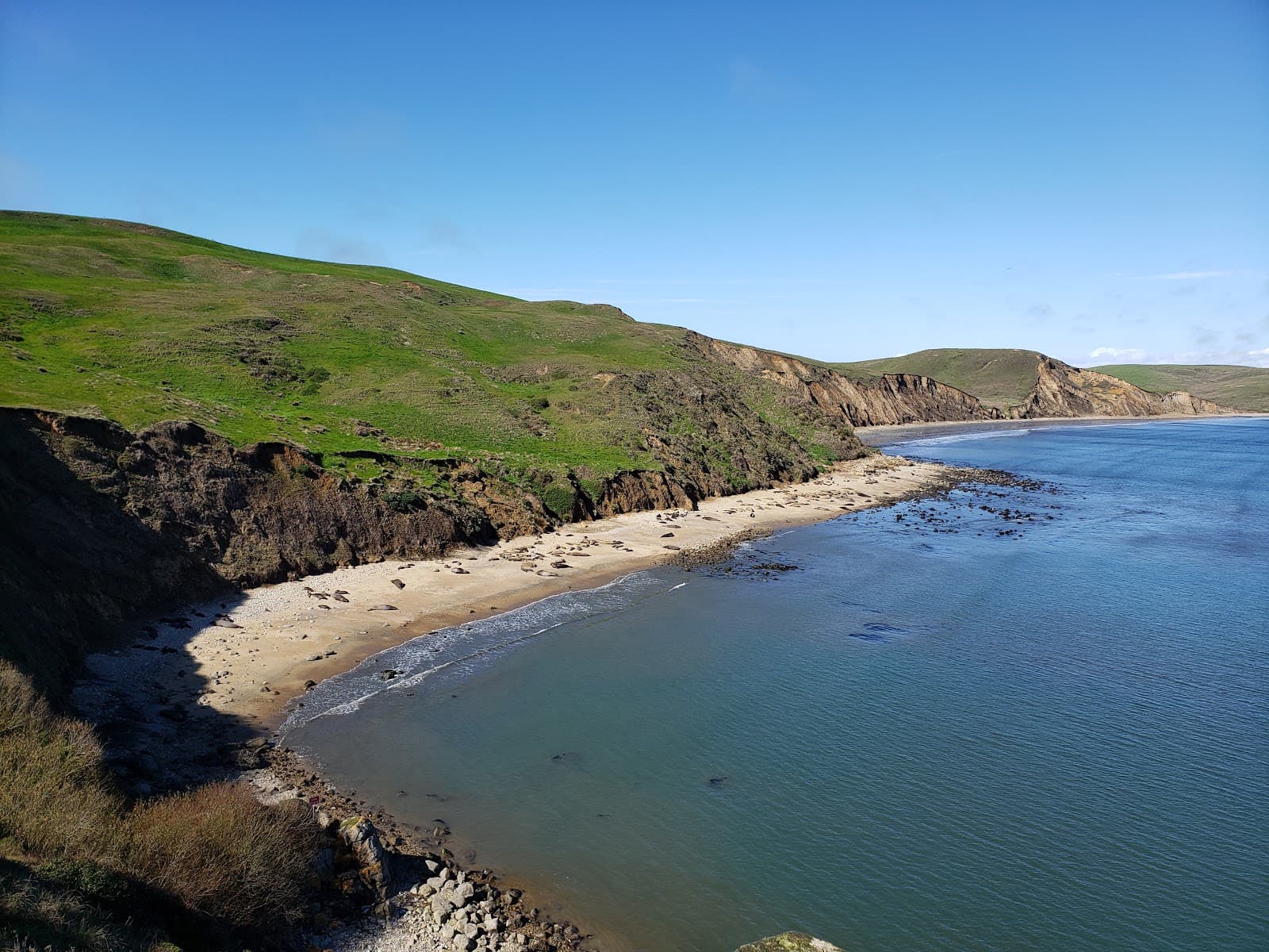 Elephant Seal Overlook - Image 1