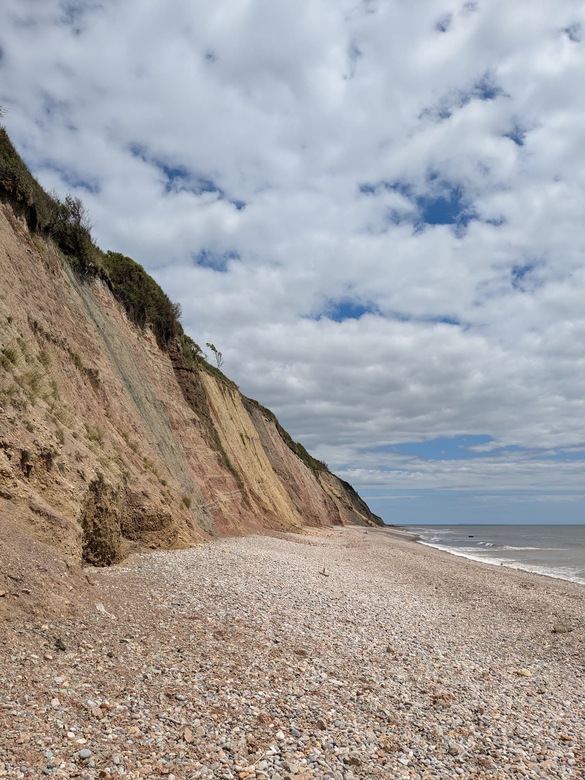 Undercliffs National Nature Reserve Axmouth–Lyme Regis - Image 1