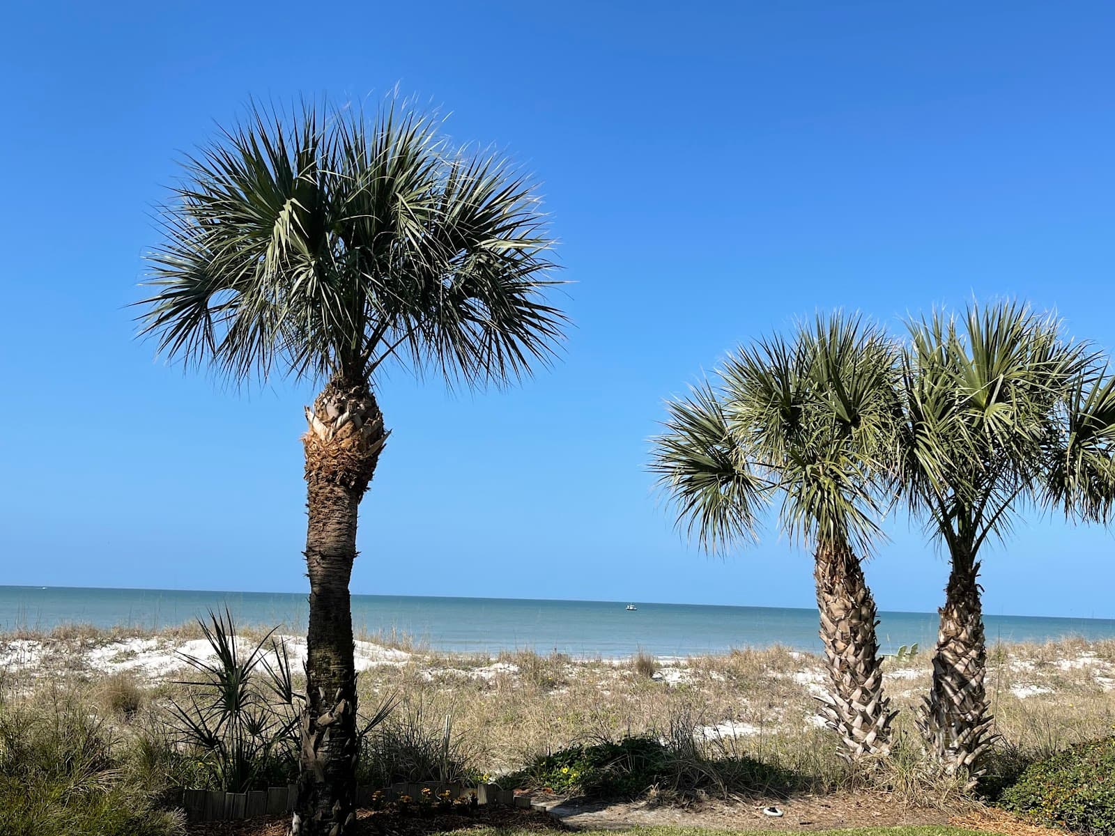 Tiki Gardens Beach Access - Image 1