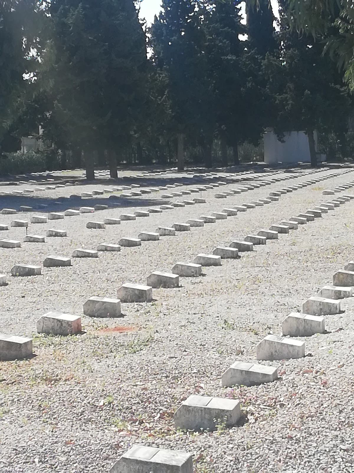 Beirut War Cemetery - Image 1