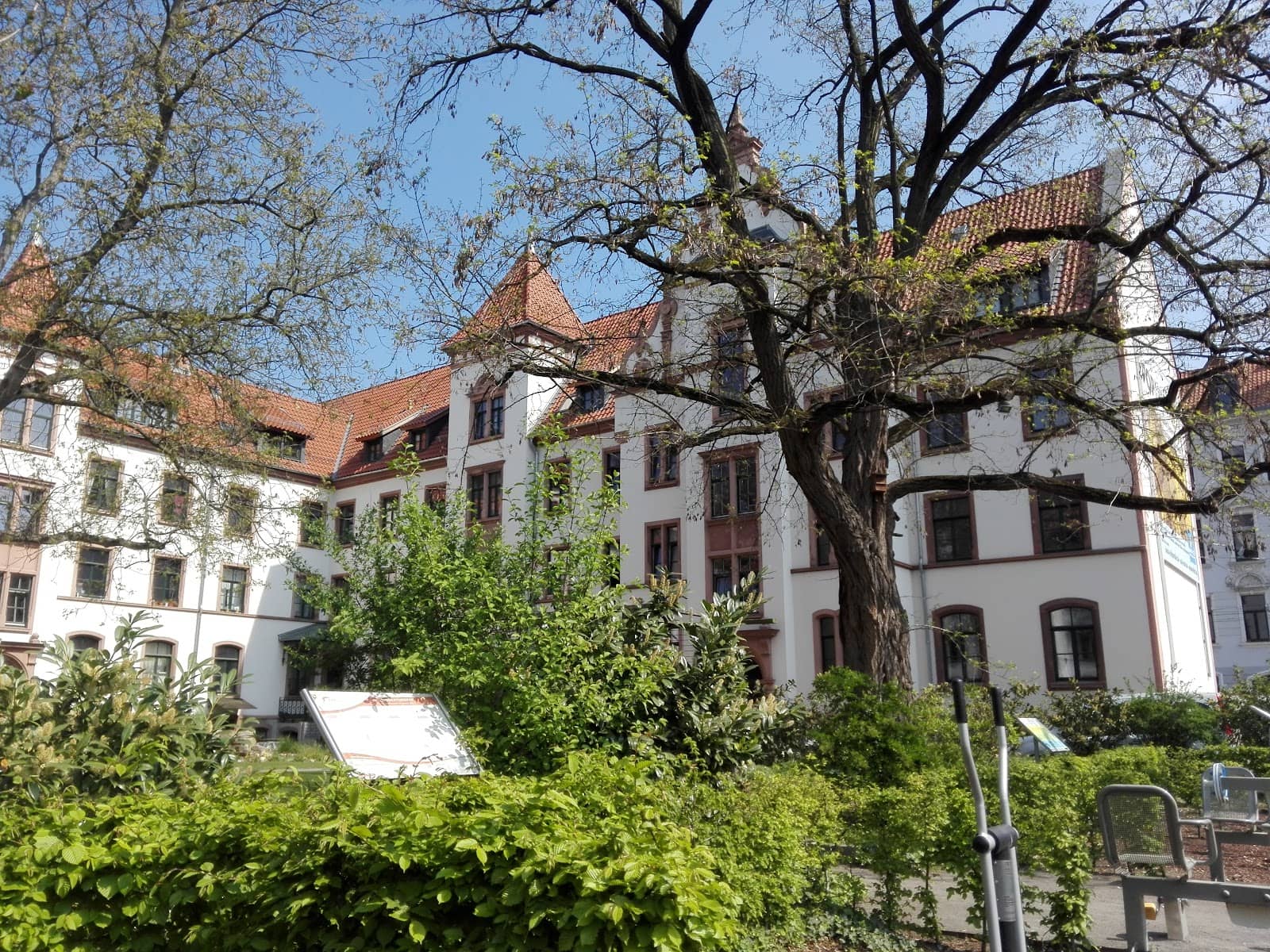 Diverse Culinary Scene