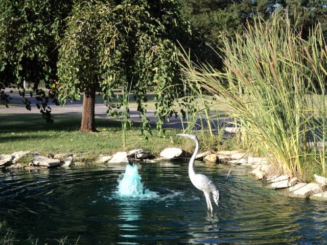 Well-Maintained Grounds