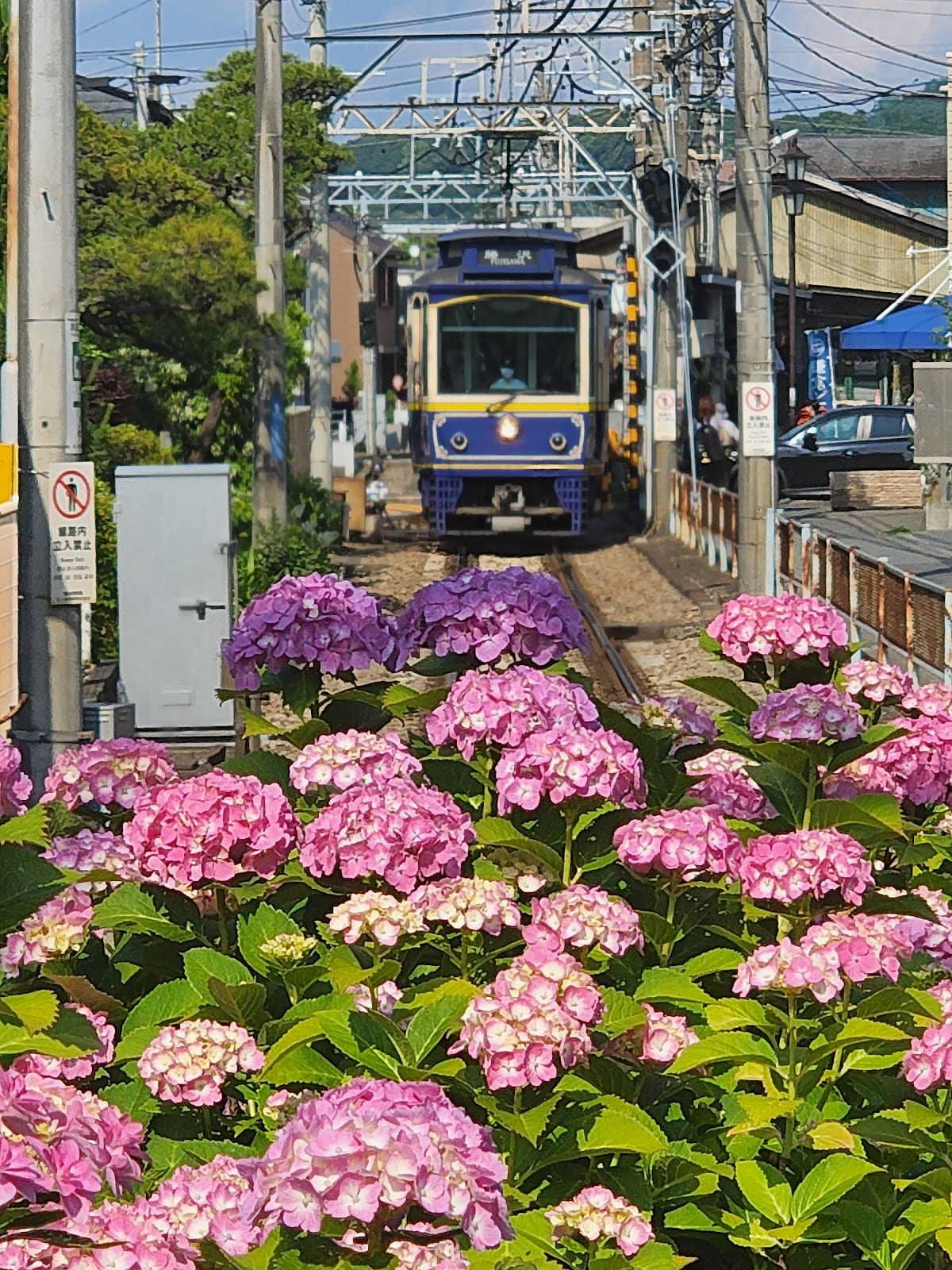 Kamakura Seaside Train (Enoden)