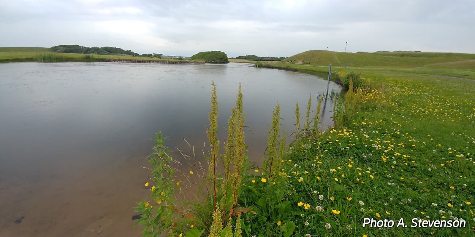 Irvine Moor - Image 1