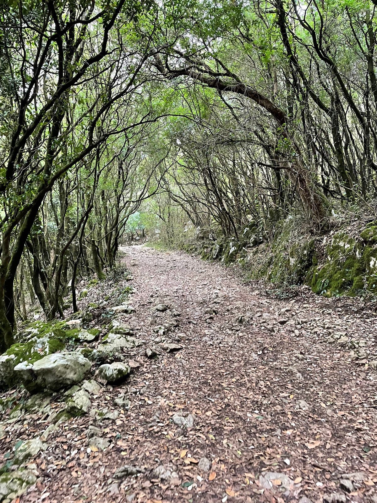 Camino del Norte (Santoña coastal stage) - Image 1