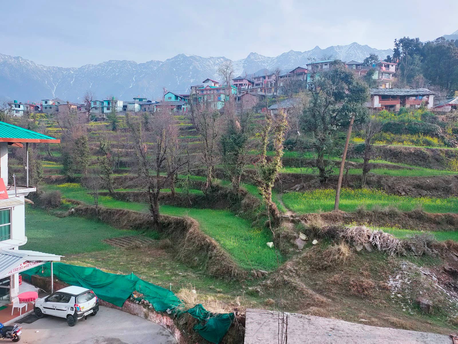 Birdwatching Paradise