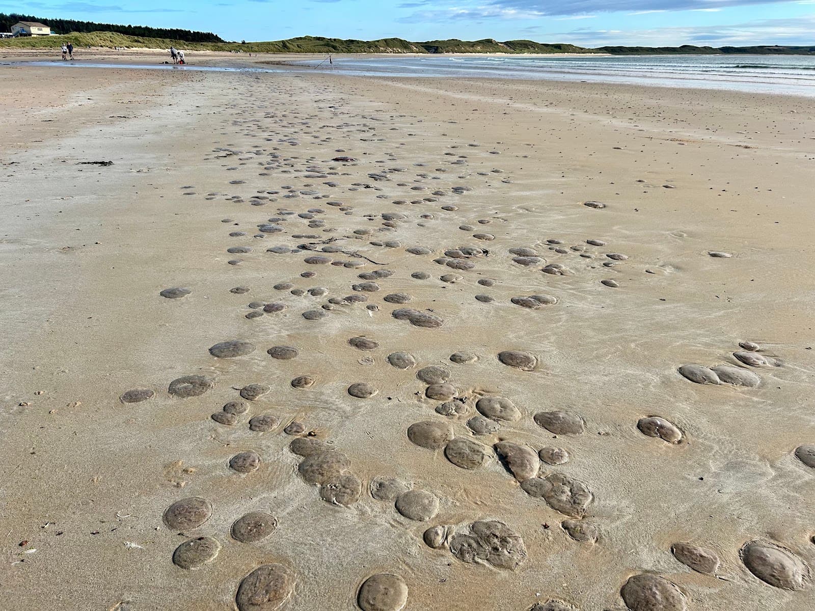 Dunnet Bay - Image 1