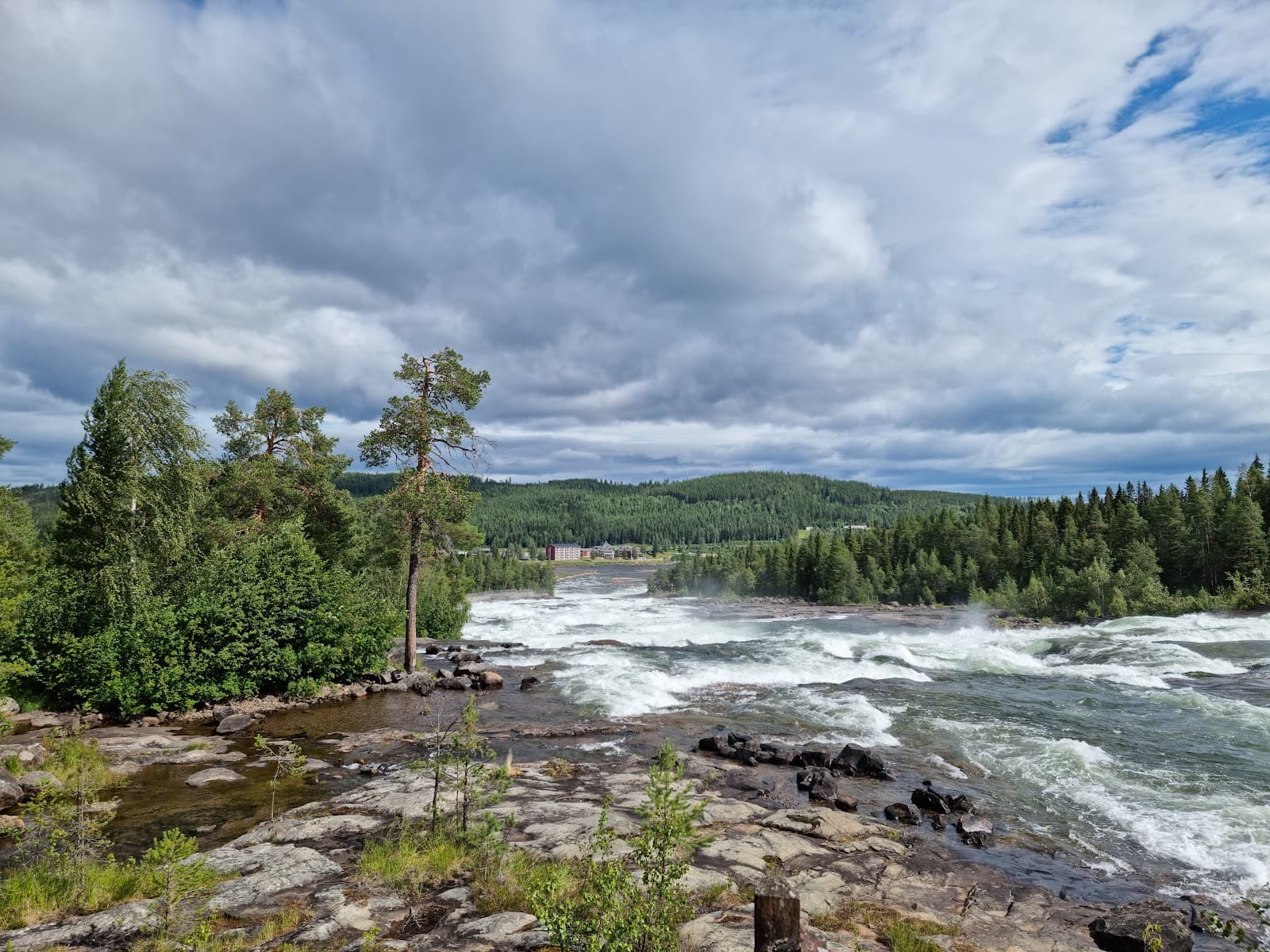 Storforsen Nature Reserve - Image 1