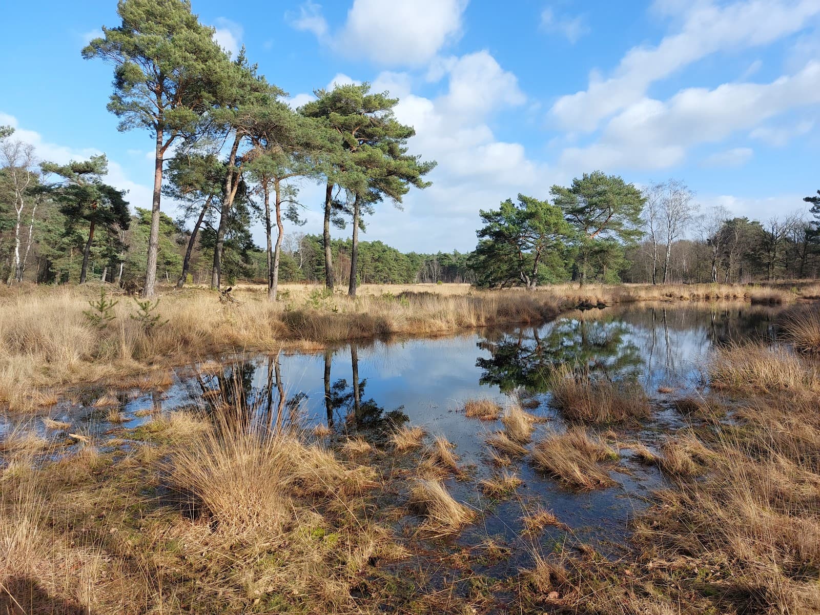 Ravenvennen - Image 1