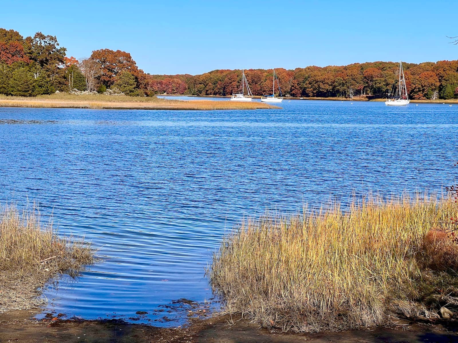 Sprawling Green Spaces