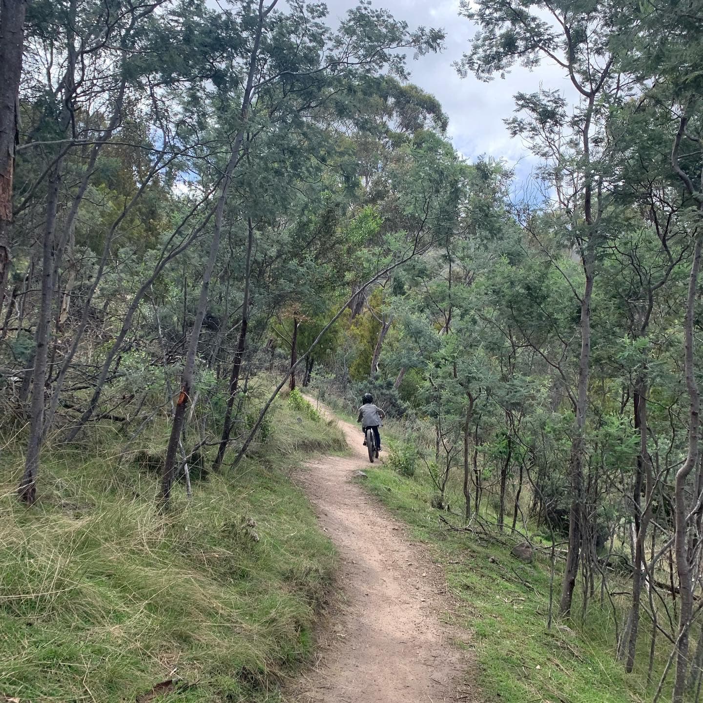 Clarence Mountain Bike Park - Image 1
