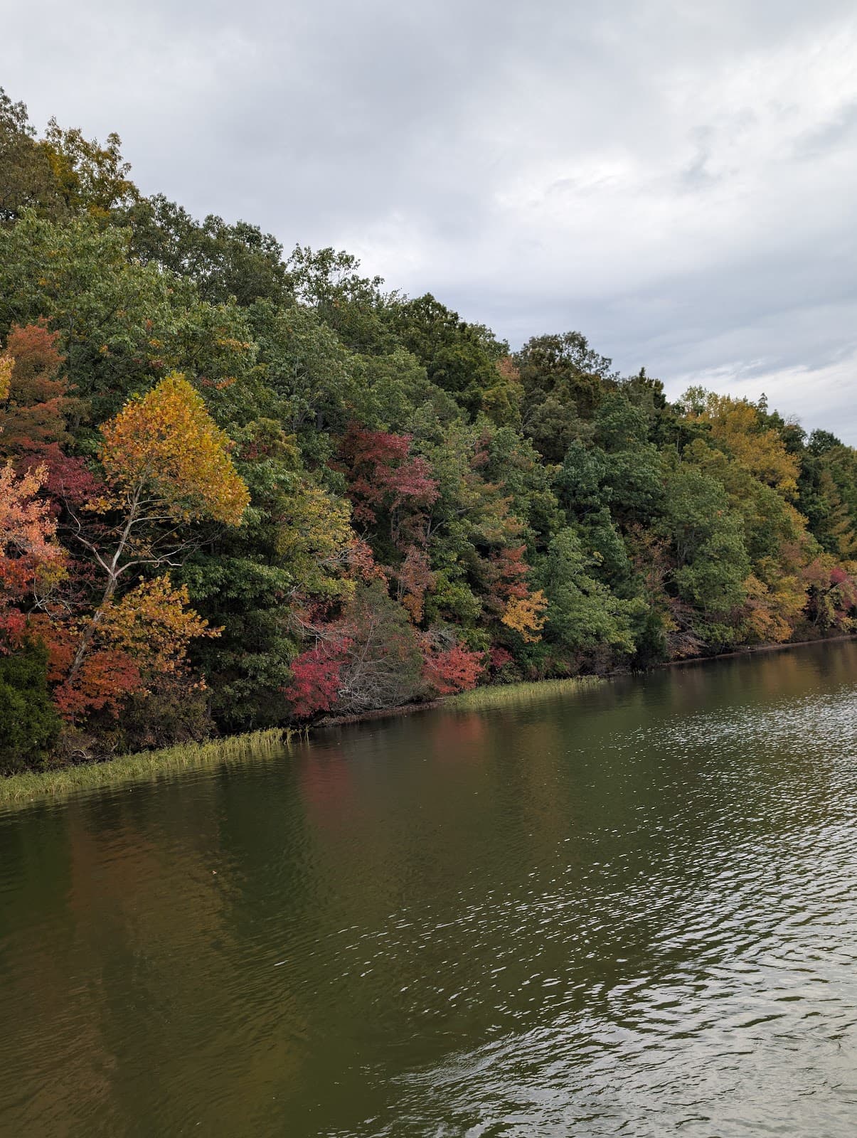 Woods Reservoir - Image 1