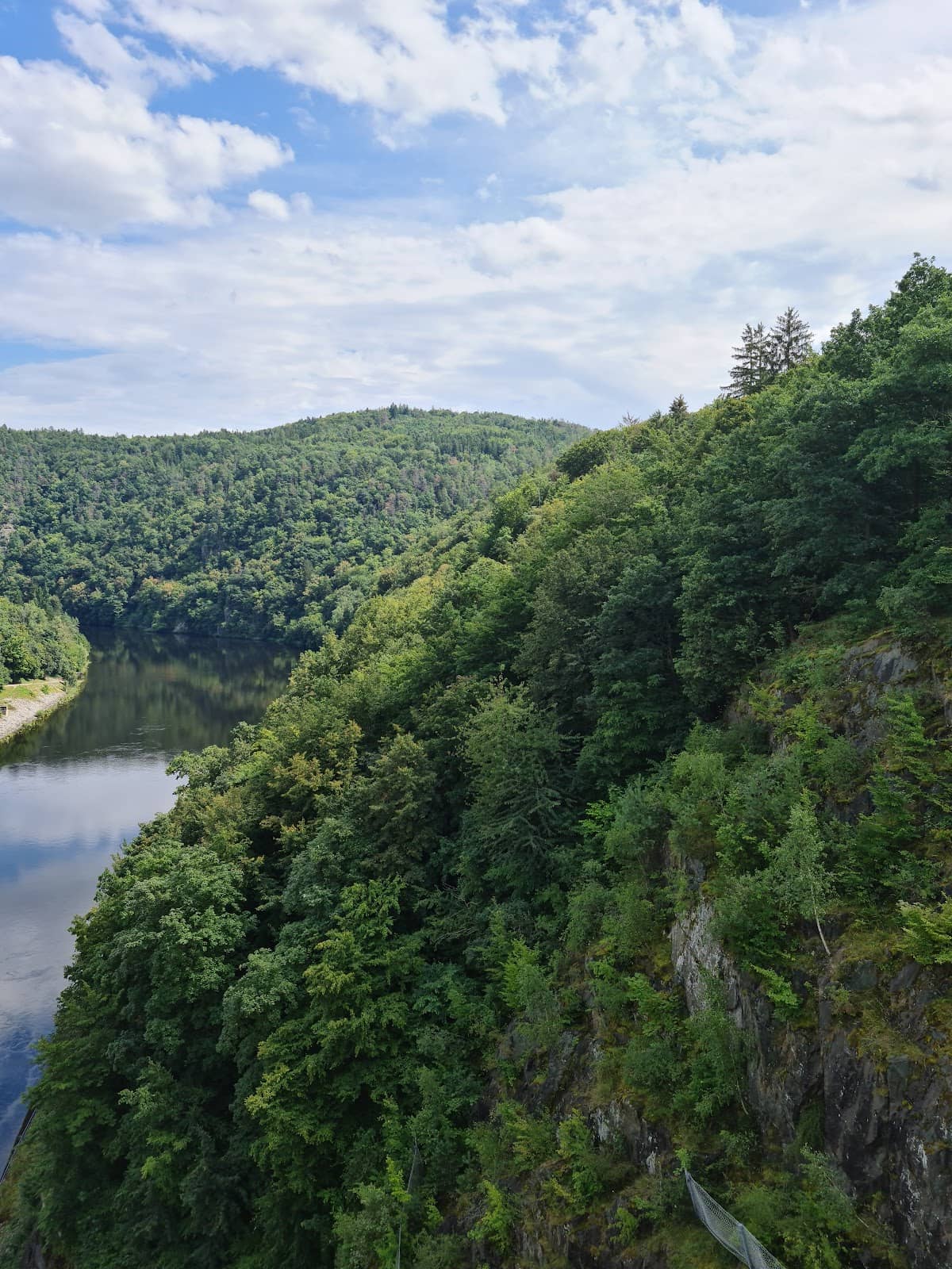 Wooded Hillside Views