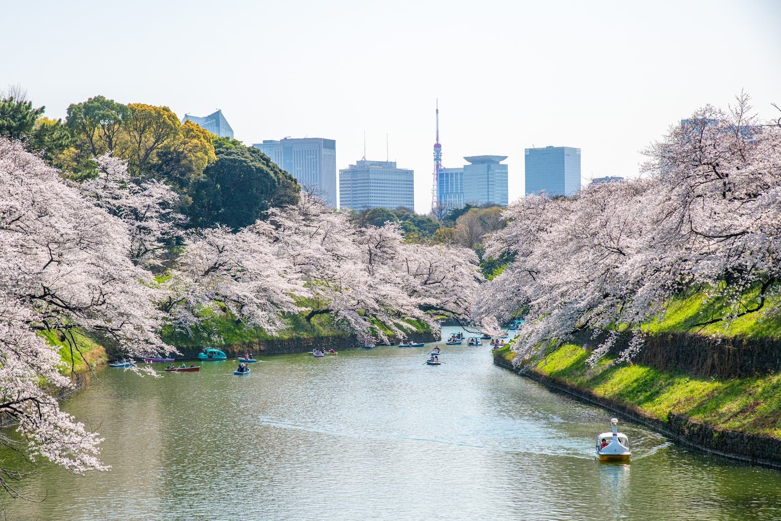 Kudanzaka Park - Image 1