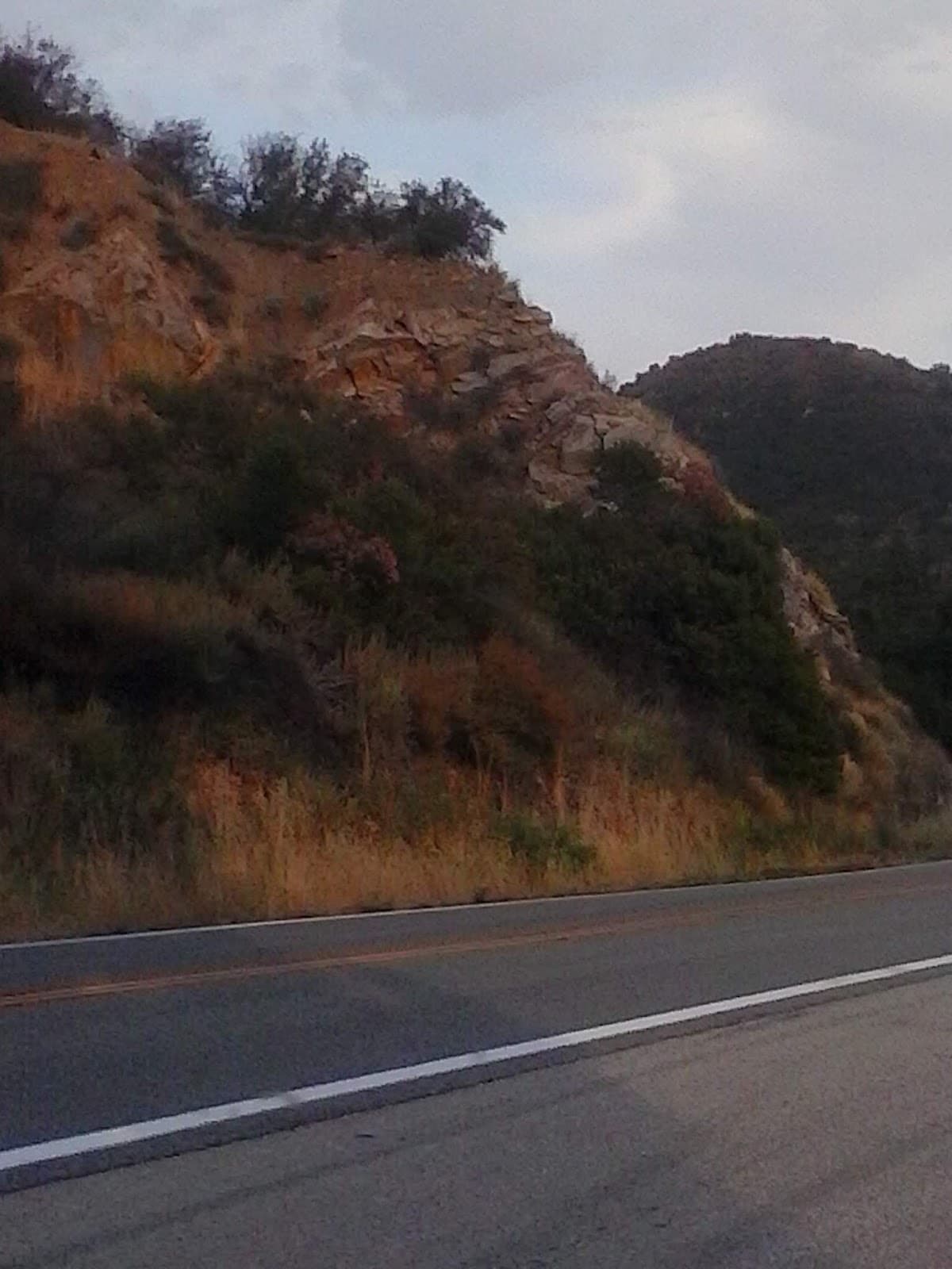 Meiners Oaks - Image 1