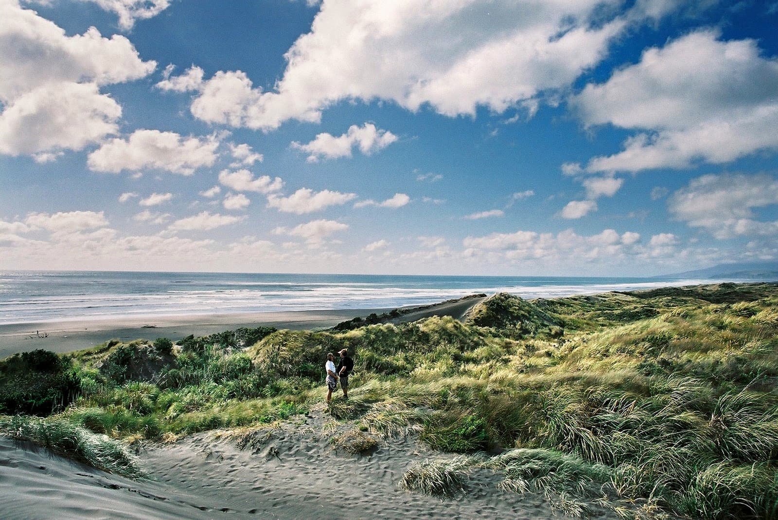 Kawhia Hot Water Beach - Image 1