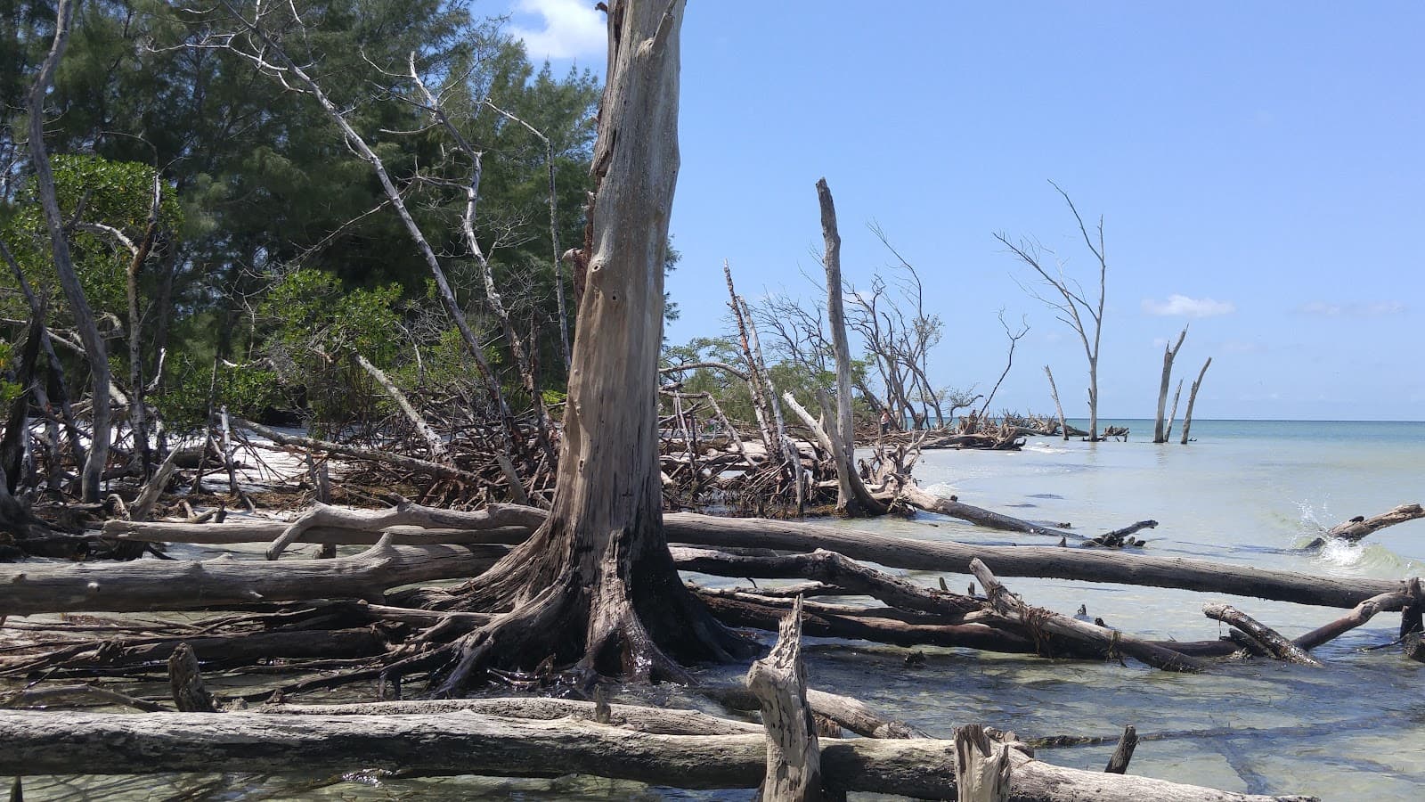 Whitney Beach - Image 1