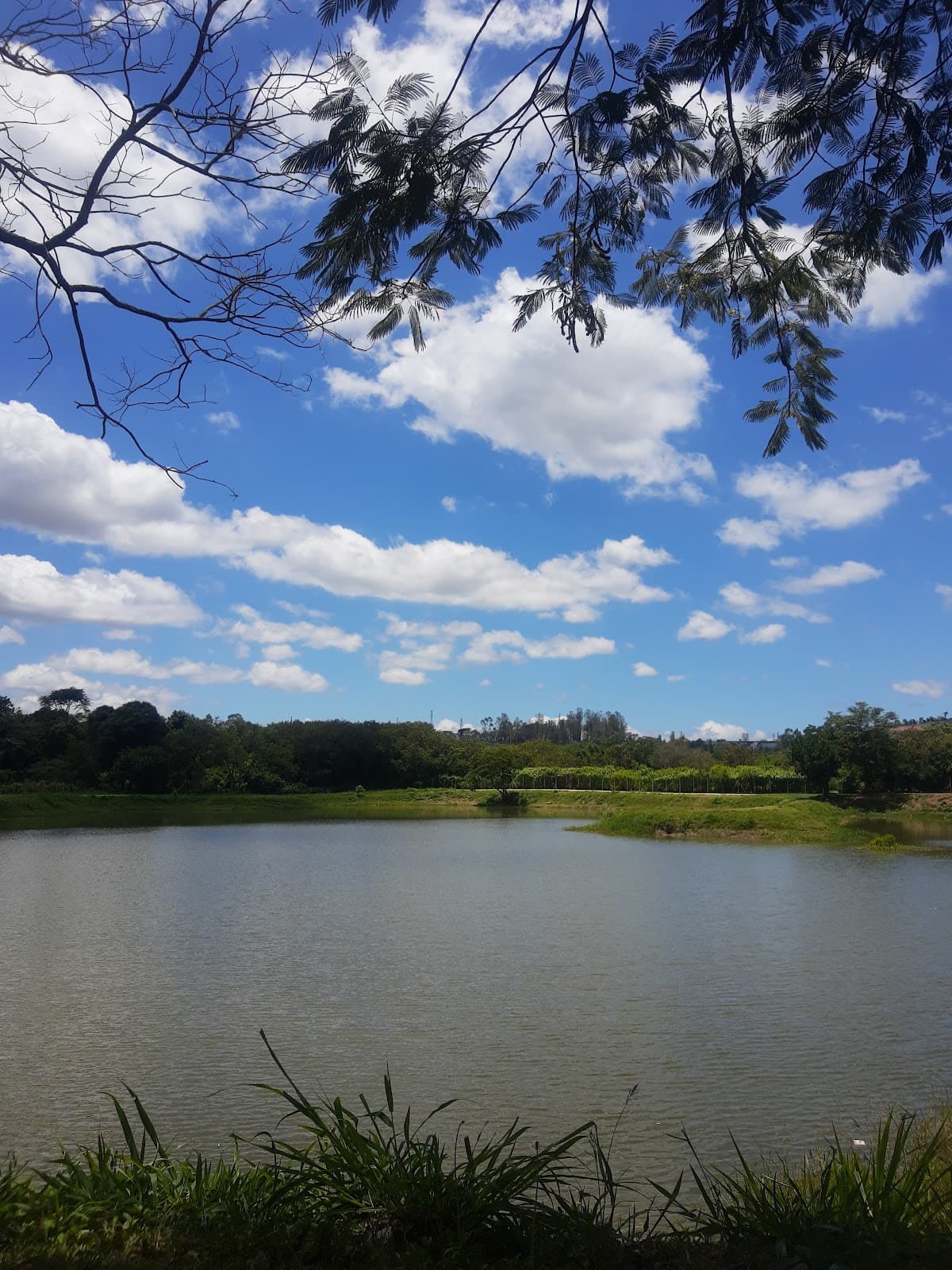 Parque Ecológico da Capela - Image 1