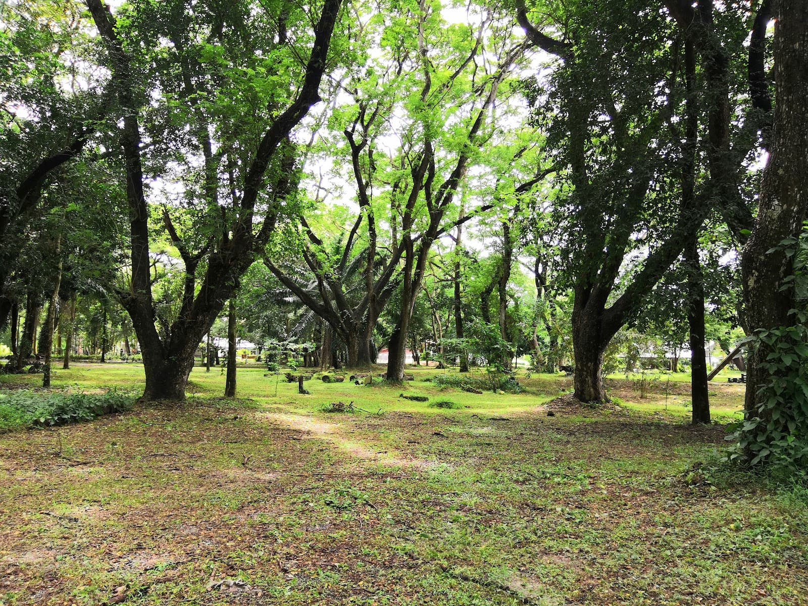 Bang Phra Non-Hunting Area - Image 1