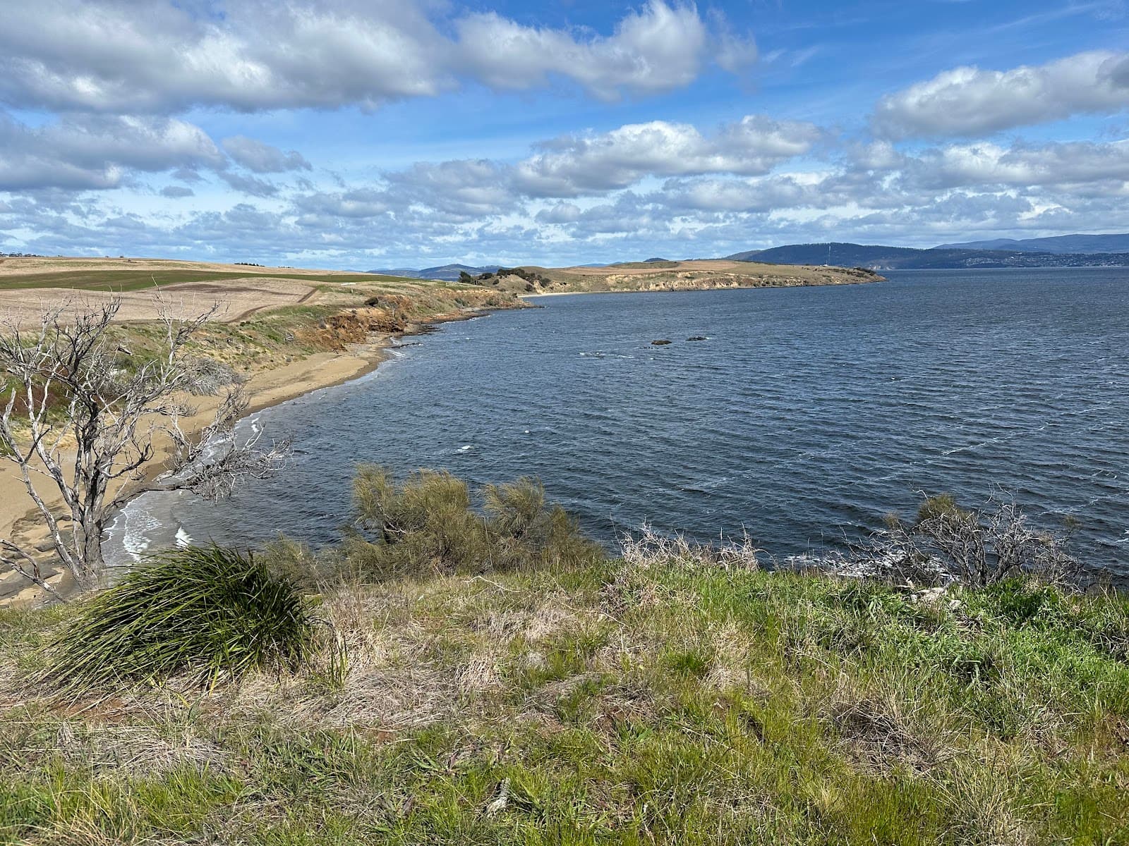 Arm End Reserve - Image 1