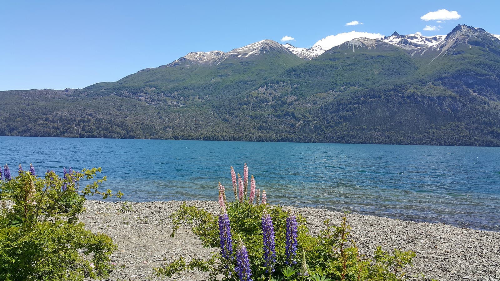 Lago Rivadavia Chubut Argentina - Image 1