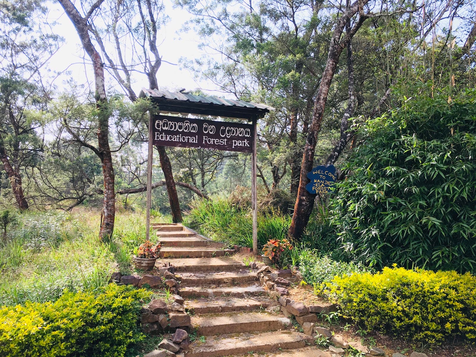 Kande Ela Forest Park - Image 1