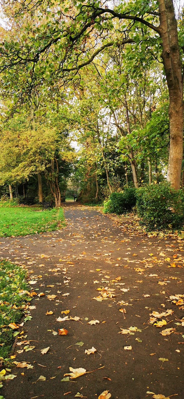 Wandle Trail (Croydon section) - Image 1