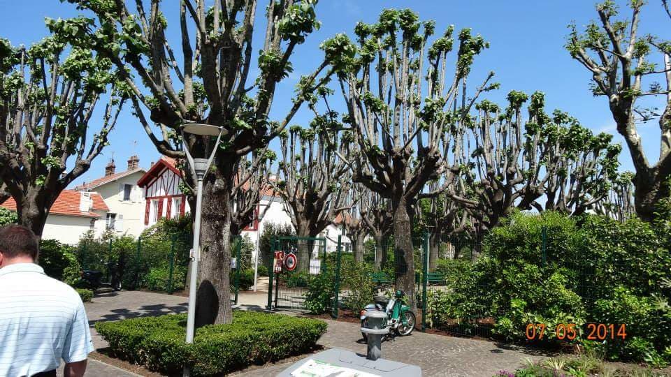 Parc Mazon - Image 1