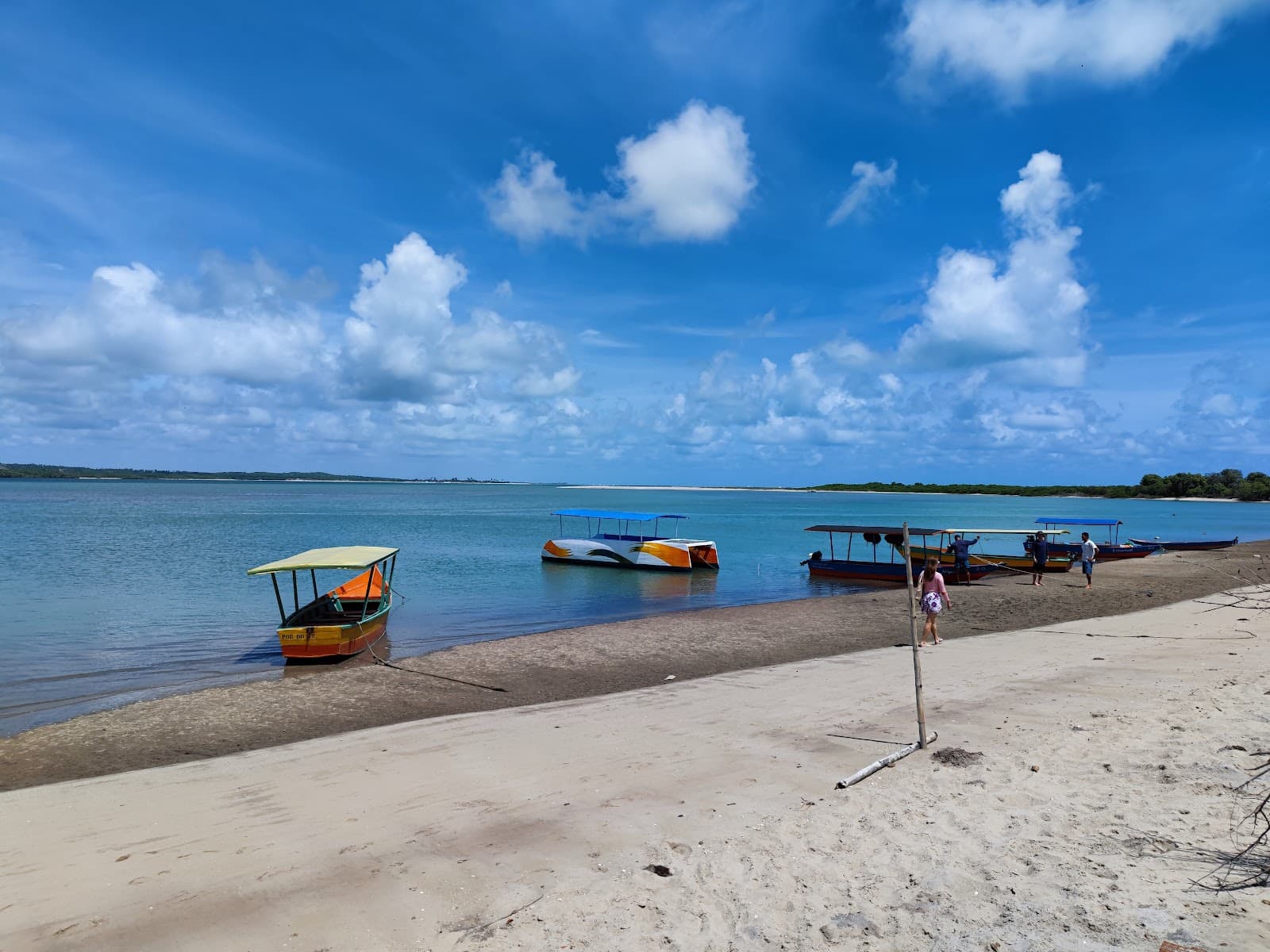 Barra do Mamanguape APA Manatees - Image 1