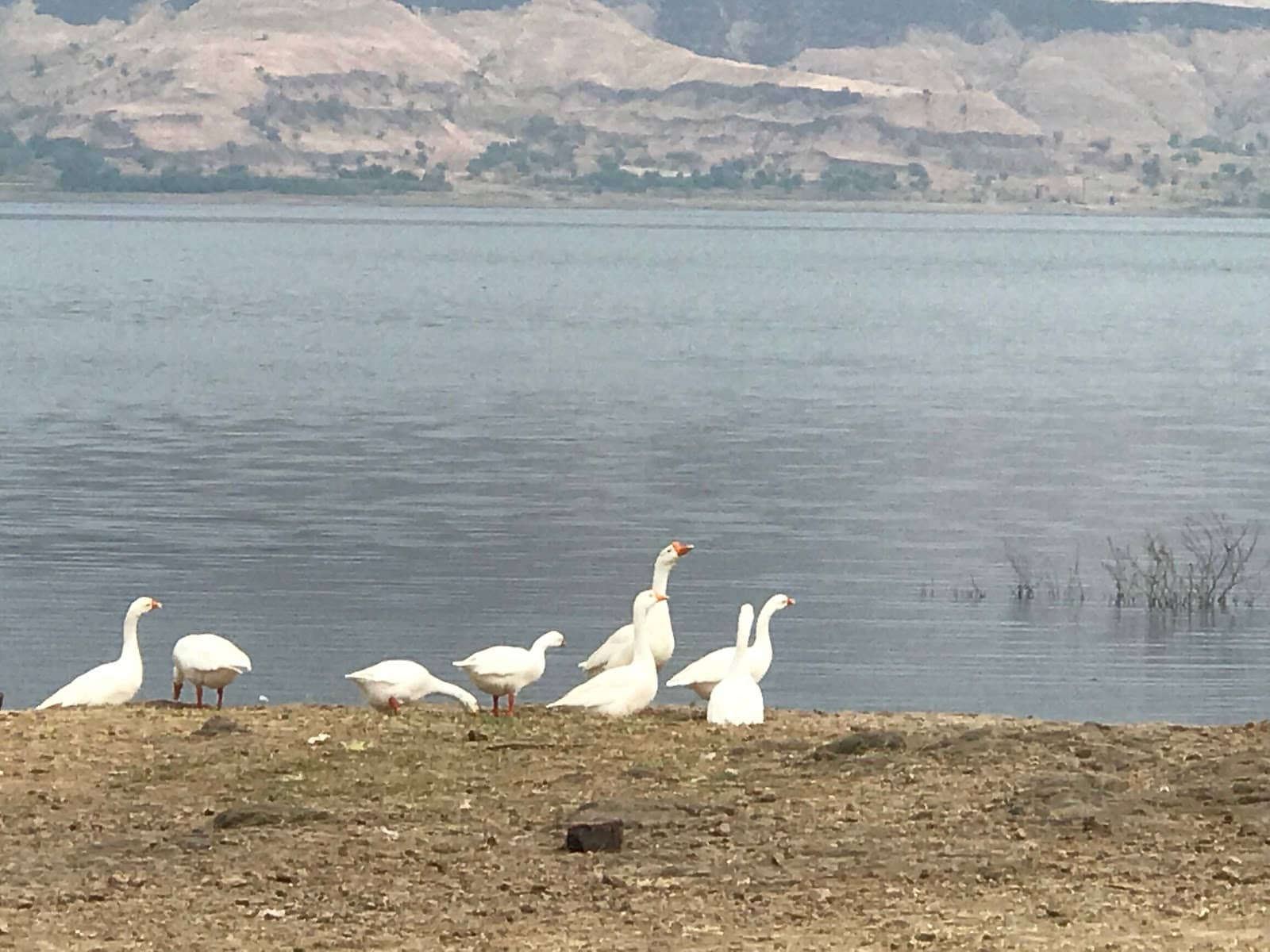 Water Sports Adventure