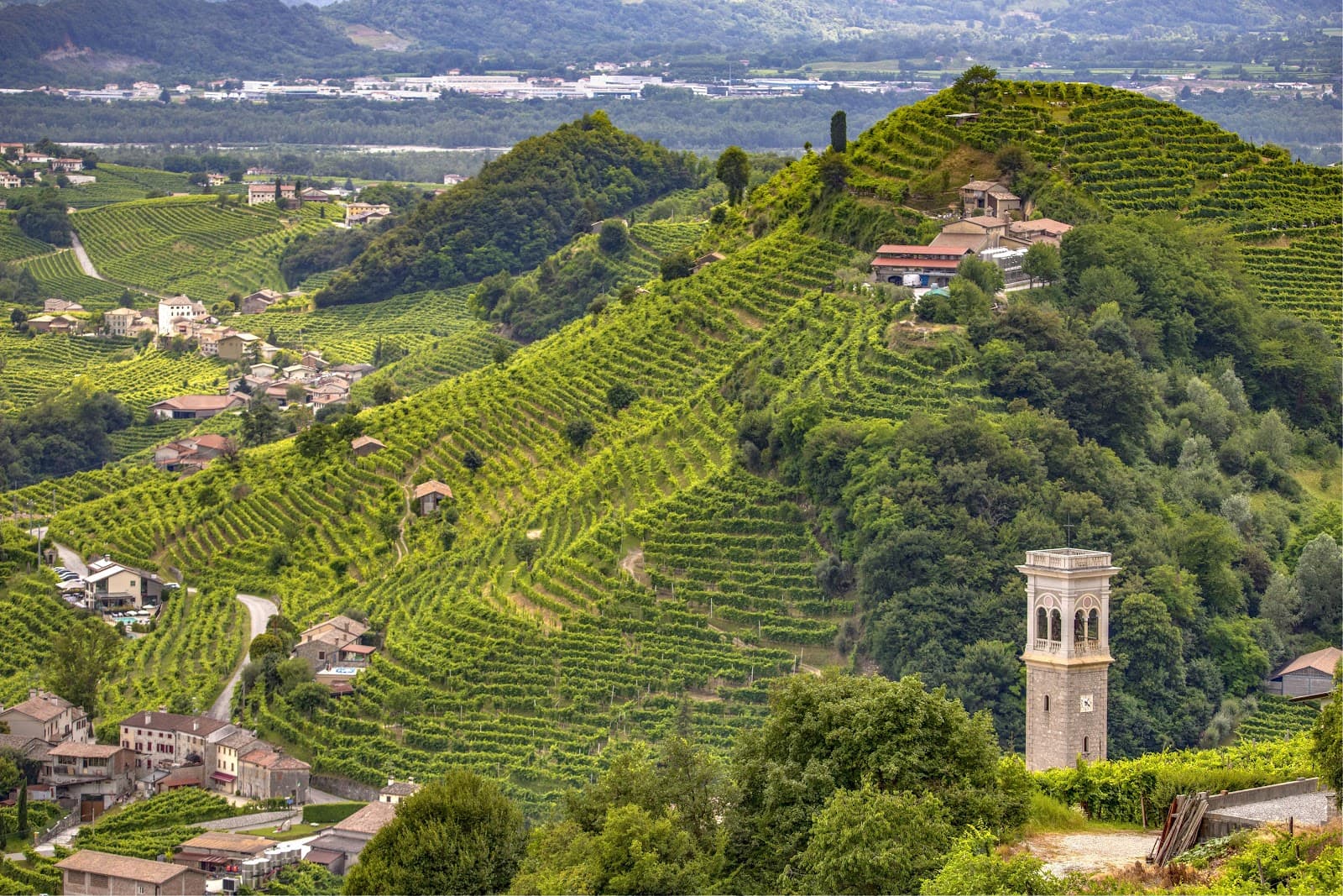 Prosecco Hills Valdobbiadene - Image 1
