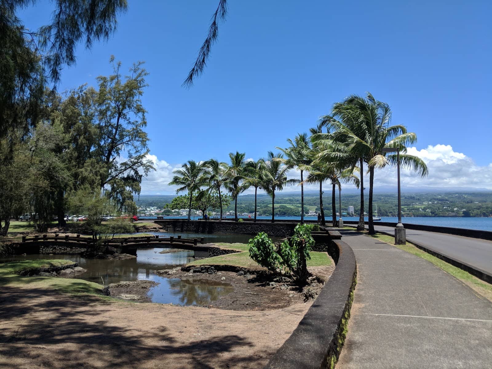 Koi Ponds and Arching Bridges